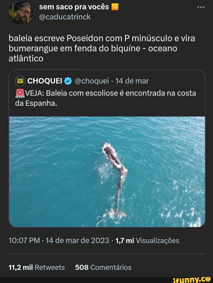 Minúsculo memes. Best Collection of funny Minúsculo pictures on iFunny  Brazil