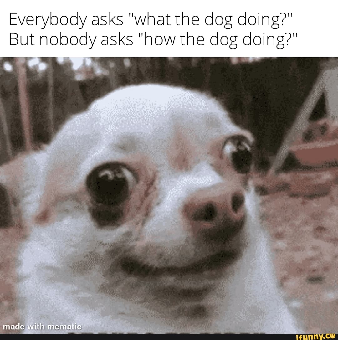 Hahahaha Hahahahaha - Skeptical Dog