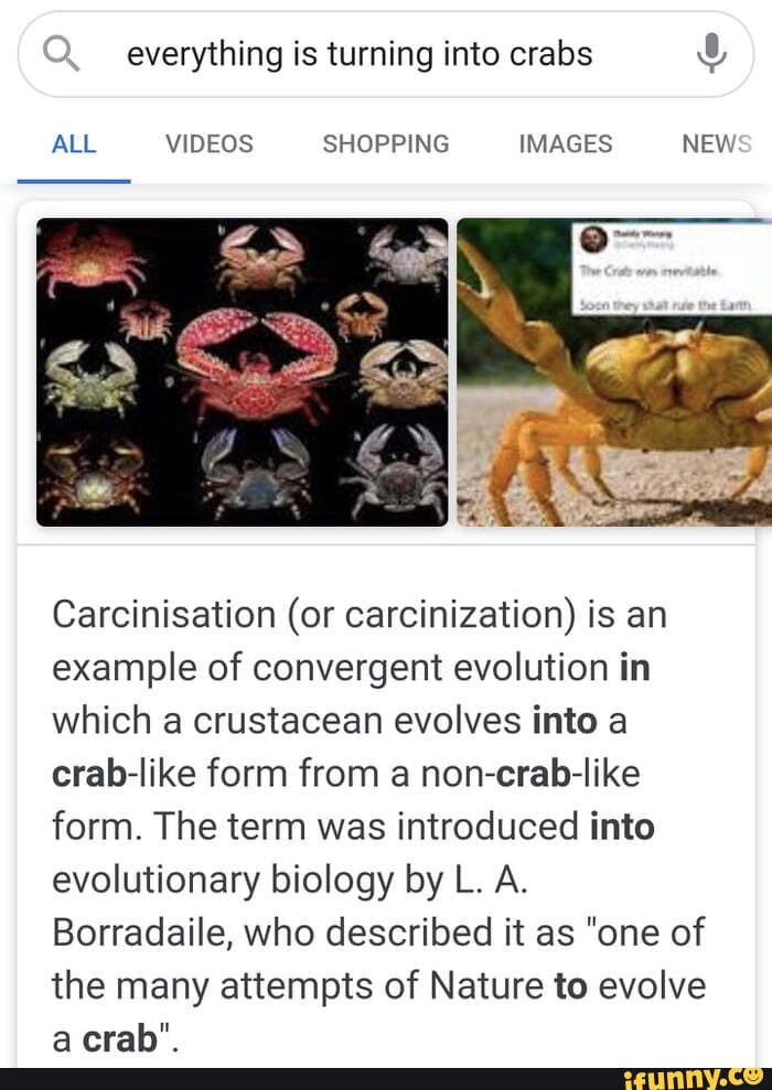 Everything is turning into crabs ALL VIDEOS SHOPPING IMAGES NEW