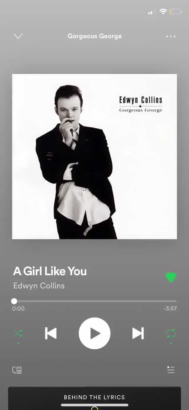 Bops I think people might enjoy - Gorgeous George Edwyn Collins Gorgeous  George A Girl Like You Edwyn Collins BEHIND THE LYRICS Wy - iFunny Brazil
