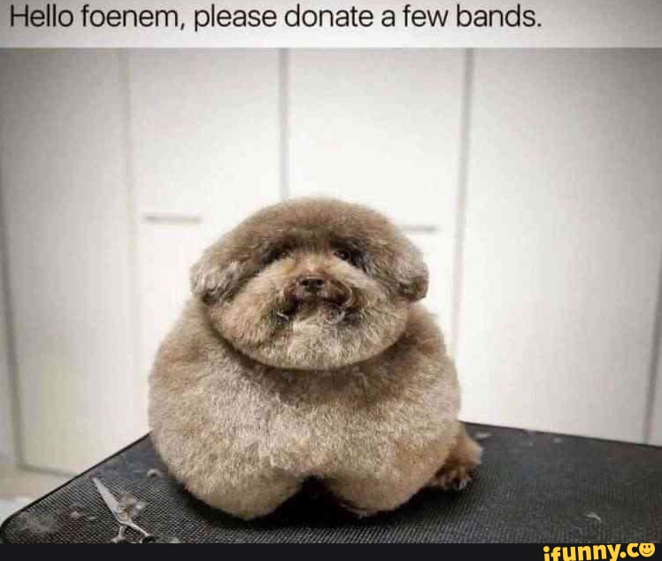 Hello foenem, please donate a few bands. - iFunny Brazil