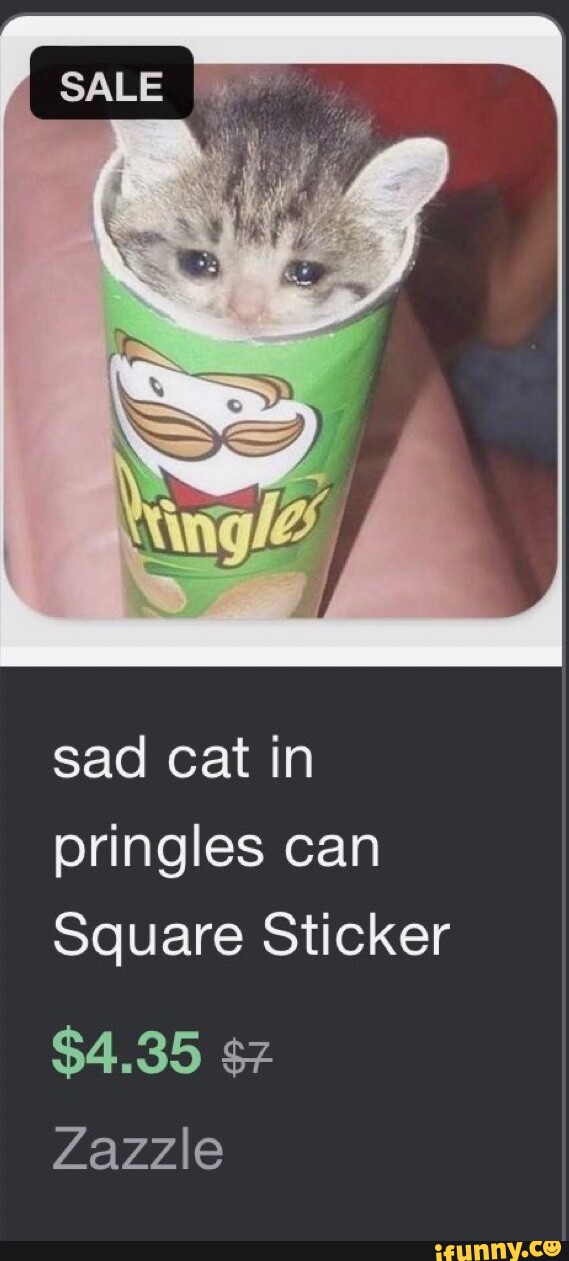 A crying cat meme with no text