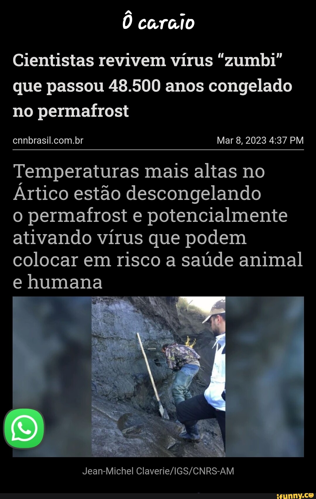 Articos memes. Best Collection of funny Articos pictures on iFunny Brazil