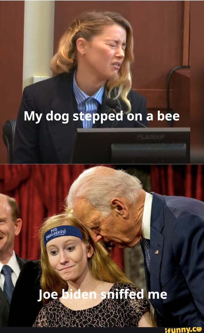 My dog stepped on a beeeee 