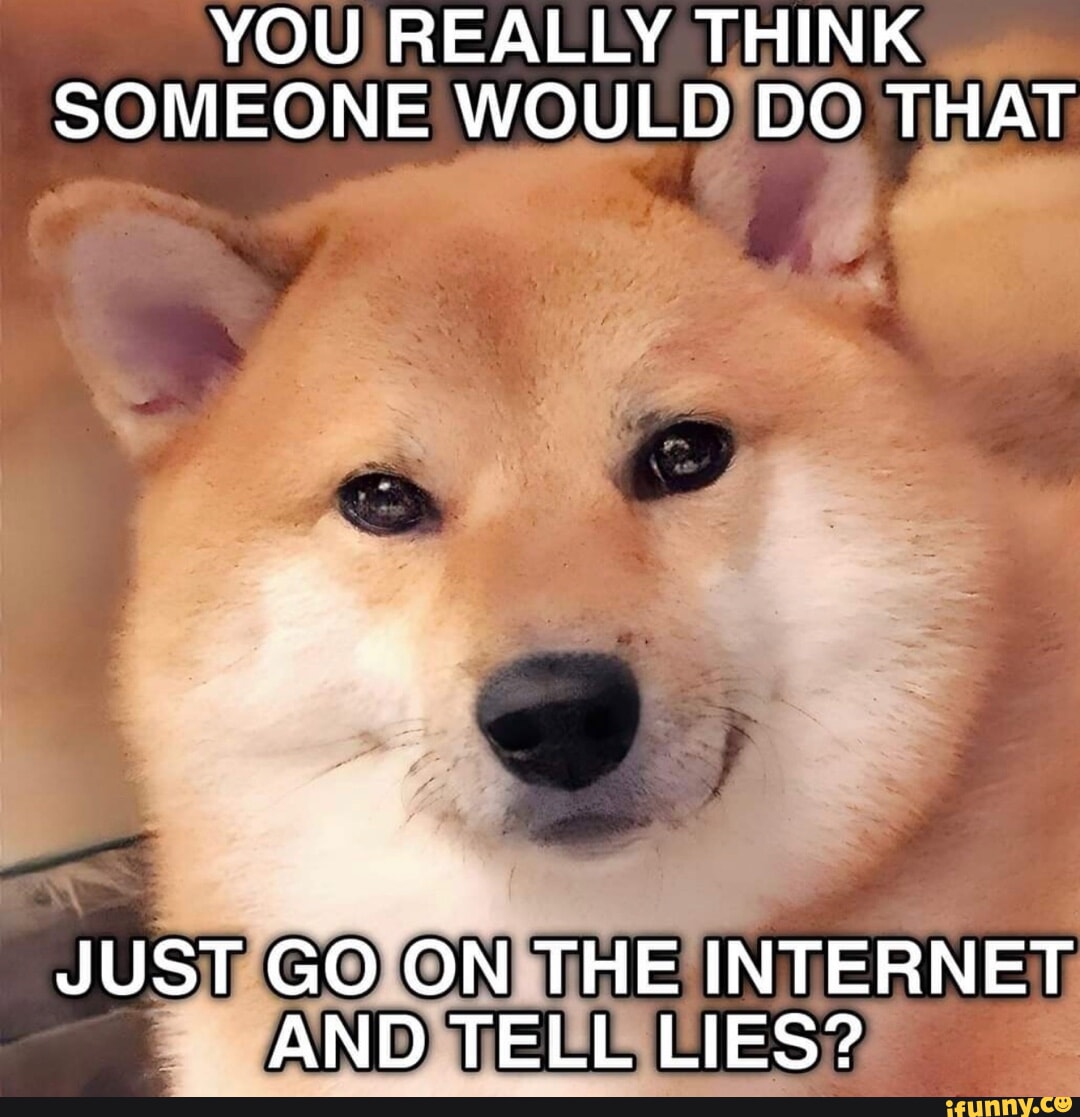 Just Go On The Internet and Tell Lies