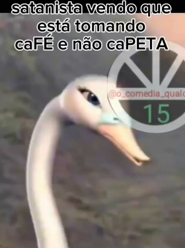 Memes de imagem ic8yX8BAA por CAFETEIRO: 1 comentário - iFunny Brazil