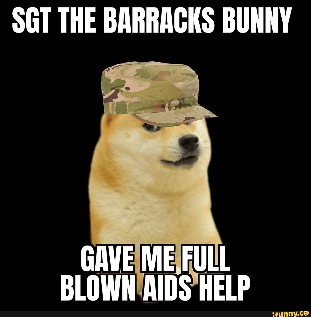 SGT THE BARRACKS BUNNY GAVE ME FULL BLOWN AIDS HELP - iFunny Brazil