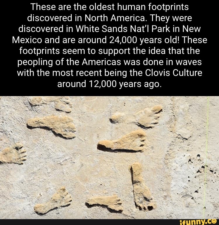 These Are The Oldest Human Footprints Discovered In North America. They ...