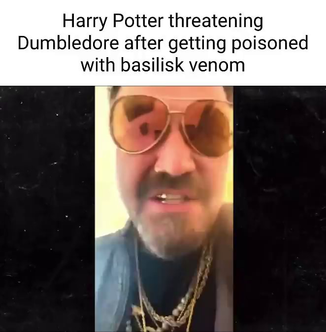 Harry Potter Meme Chain