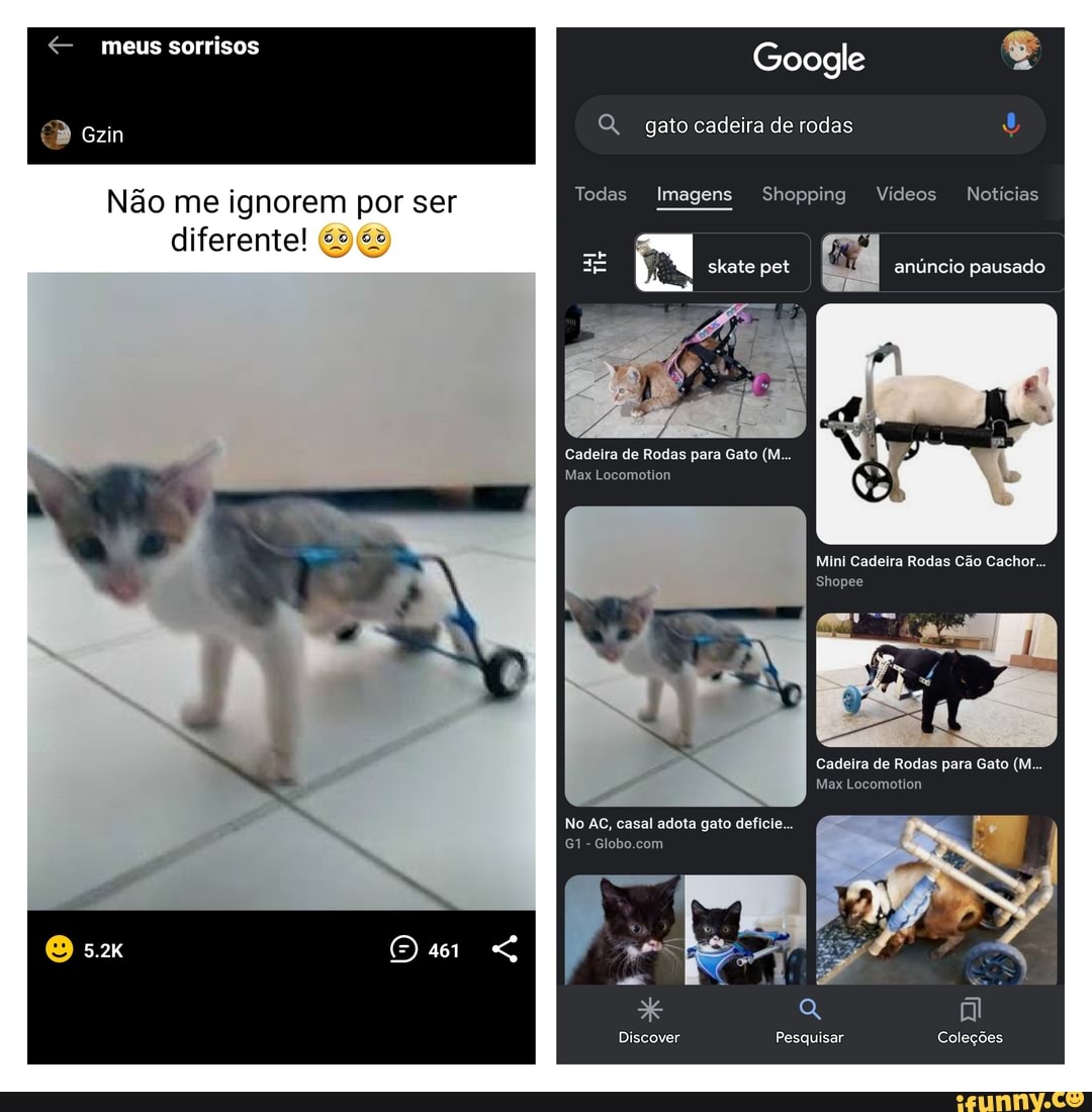 Gato Brazilian Videos – Apps no Google Play