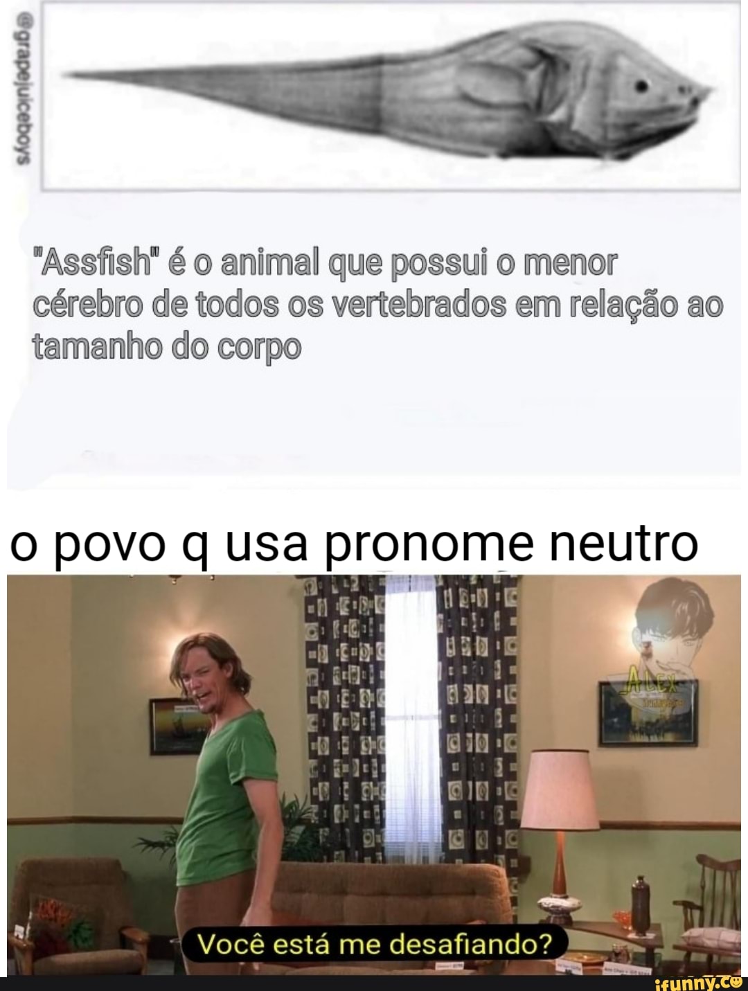 tradução nos comentários - Meme by Elefante_Desnutrido :) Memedroid