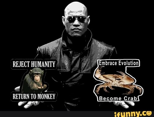Reject Humanity Return to Monke Evolution Funny Chimp Meme