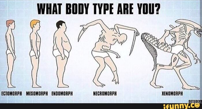 Body Types: Are You an Ectomorph, Mesomorph, or Endomorph?