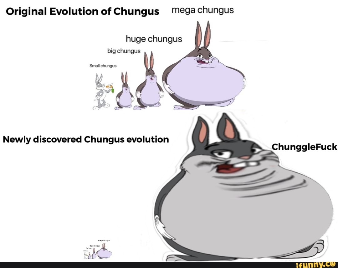 Línea evolutiva de BIG CHUNGUS - Meme by NightmareShoot :) Memedroid