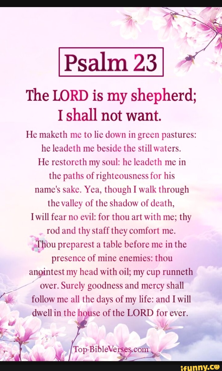 The LORD is my shepherd; I shall not want. He maketh me to lie down in ...