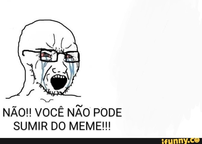 Você não pode termina o meme no roblox posso sim - iFunny Brazil
