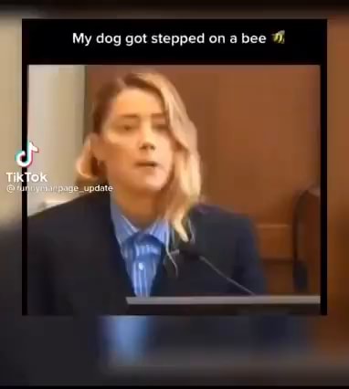 My dog stepped on a bee You owe 10 million to me - iFunny Brazil