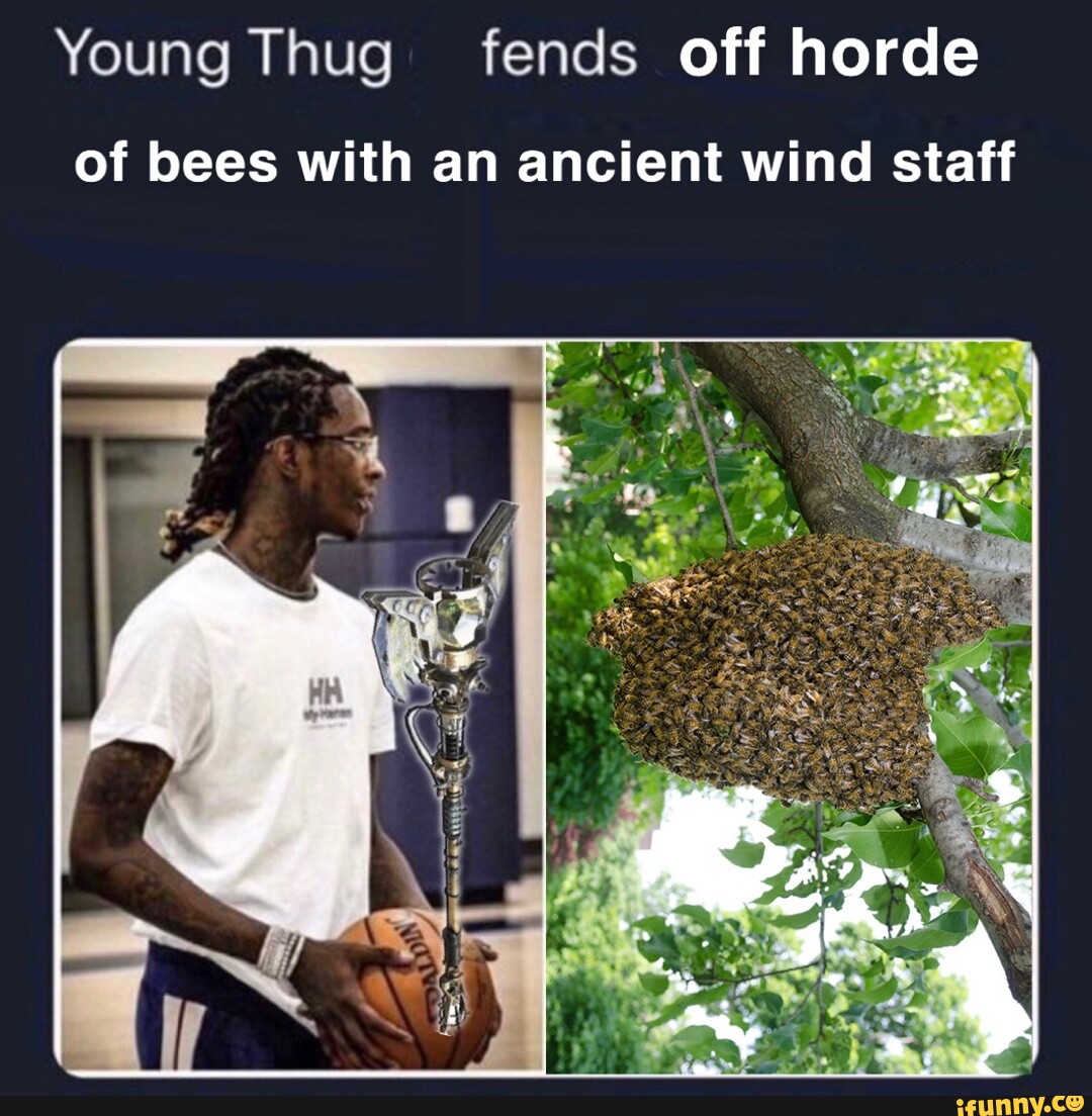 Young Thug fends off horde of bees with an ancient wind staff - iFunny  Brazil