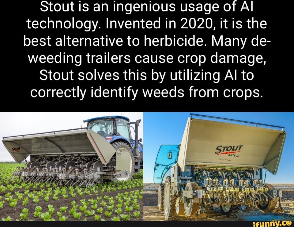 Stout is an ingenious usage of Al technology. Invented in 2020, it is