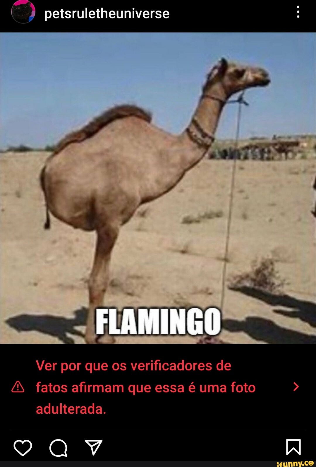 Flamino memes. Best Collection of funny Flamino pictures on iFunny