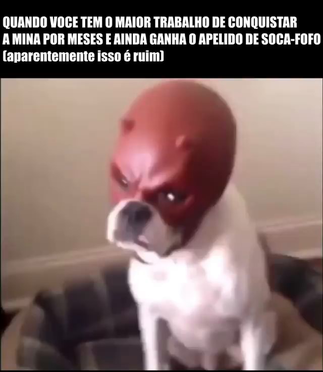 Sogga memes. Best Collection of funny Sogga pictures on iFunny Brazil