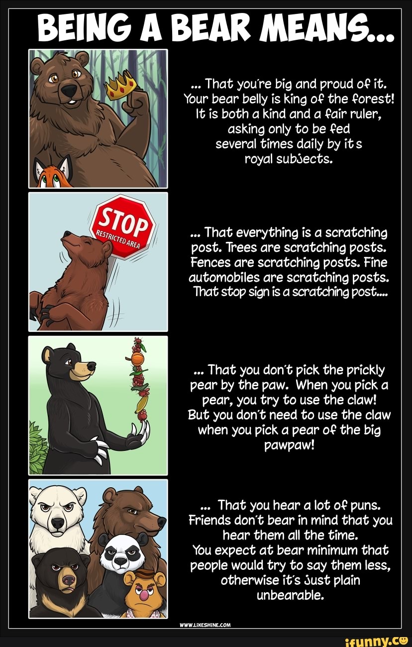 Bear Definition & Meaning