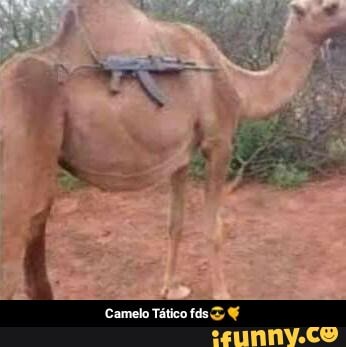 Bonequinhos do camelô - Meme by Neguim.do.RJ :) Memedroid