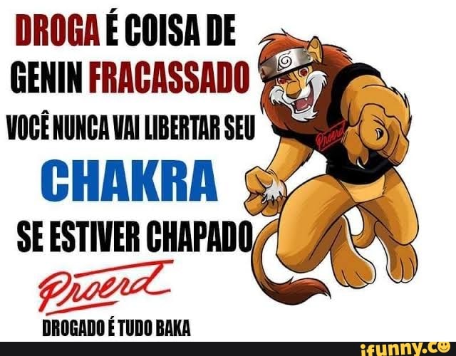 Voce é genin, chunin, jounin ou hokage?