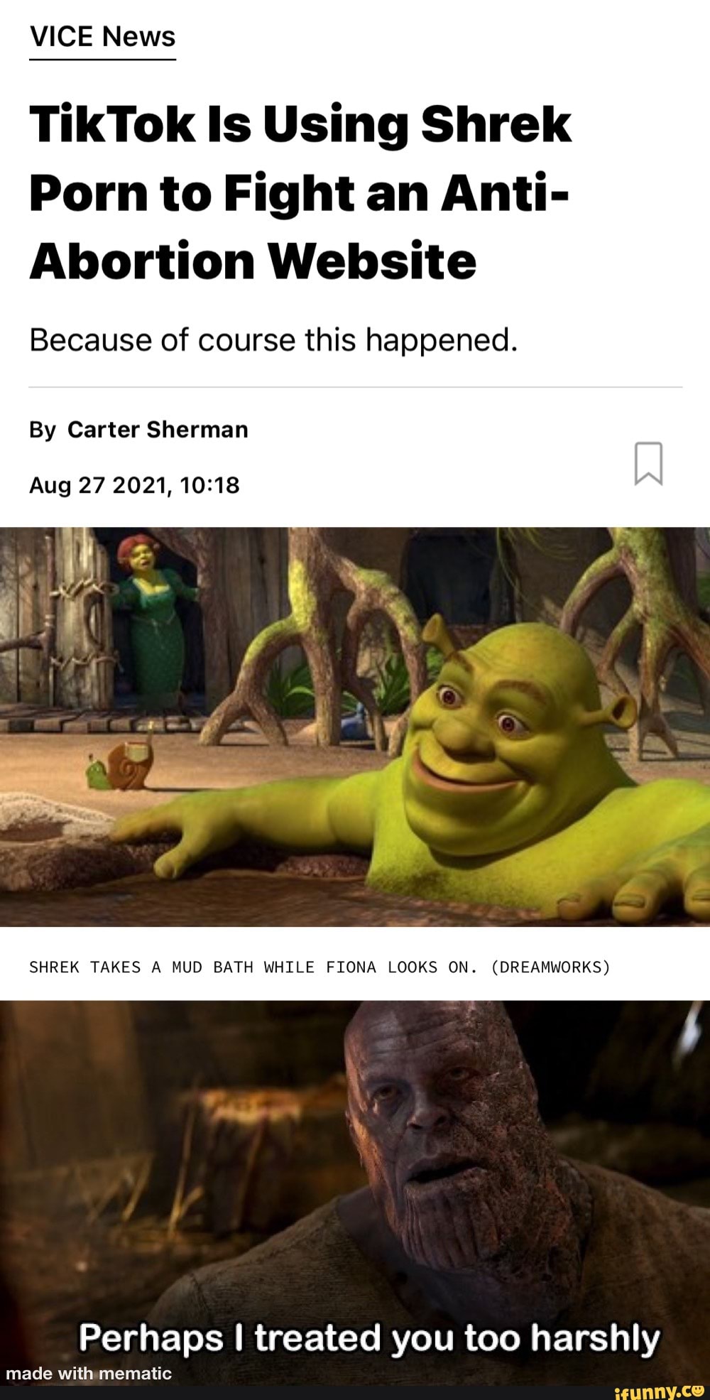 VICE News TikTok Is Using Shrek Porn to Fight an Anti- Abortion Website  Because of course