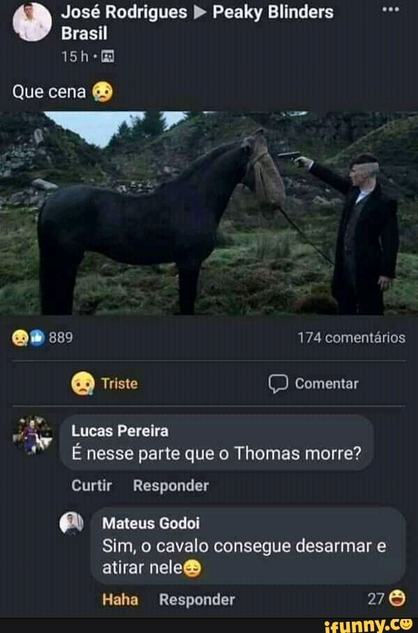 Esse gato morreu de ligma, uma tragédia - iFunny Brazil