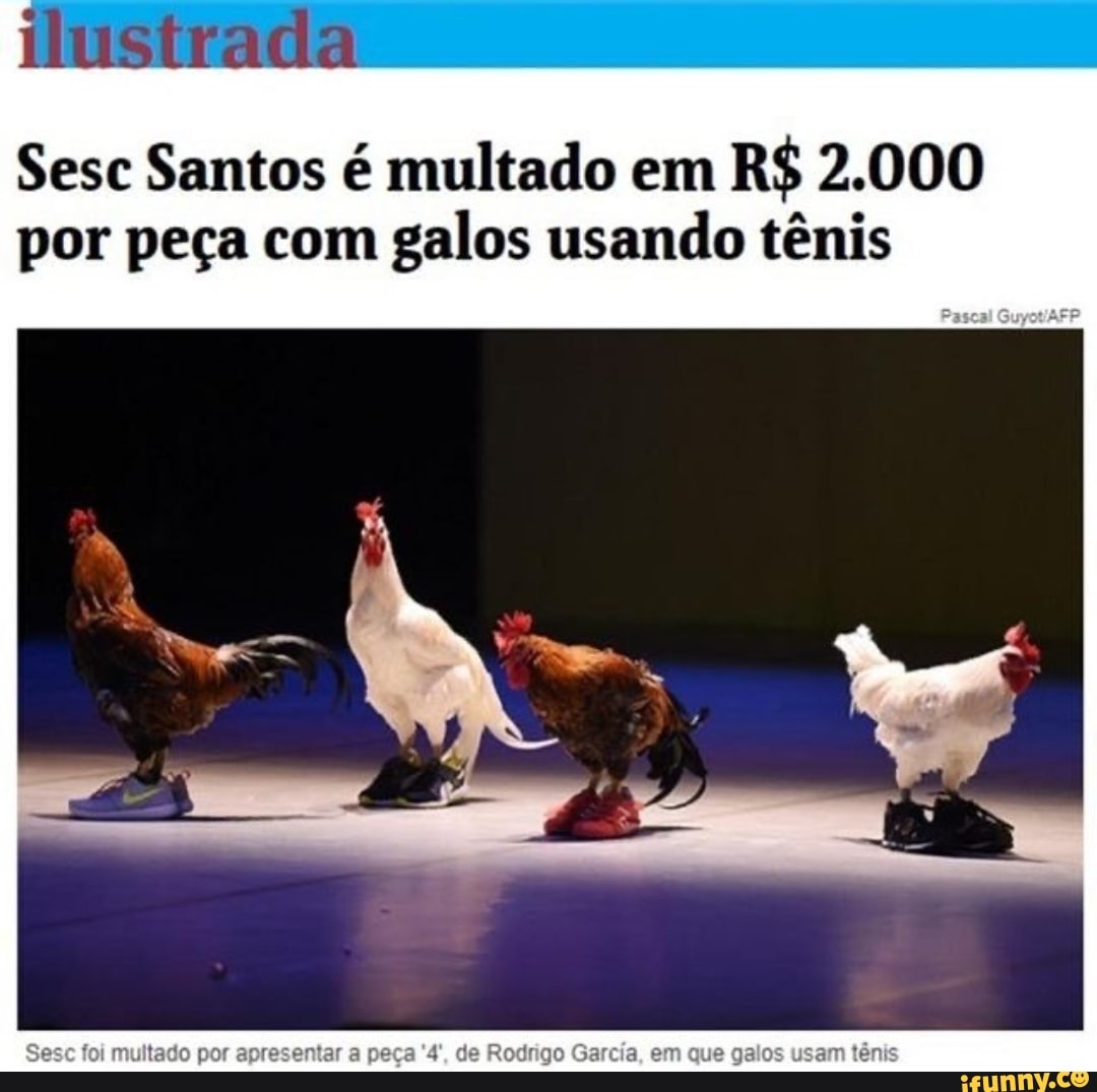 SasE PEGÁR DESITAQUEIDOU PRO ZORO SOLA tripulação - iFunny Brazil