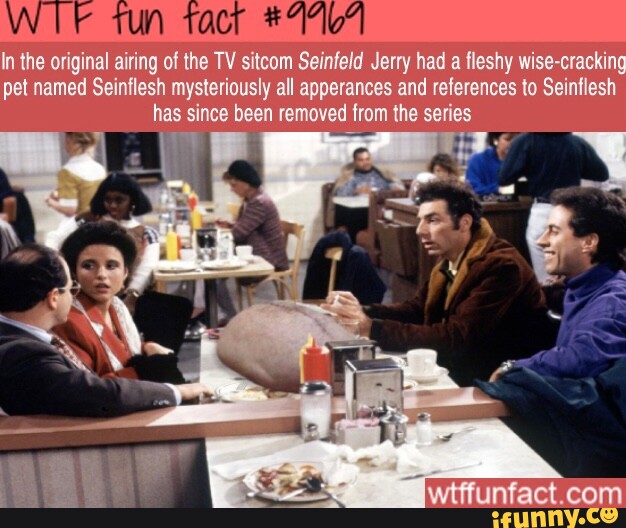 In the original airing of the TV sitcom Seinfeld Jerry had a fleshy ...