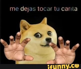 Me dejas tocar tu carita iFunny Brazil