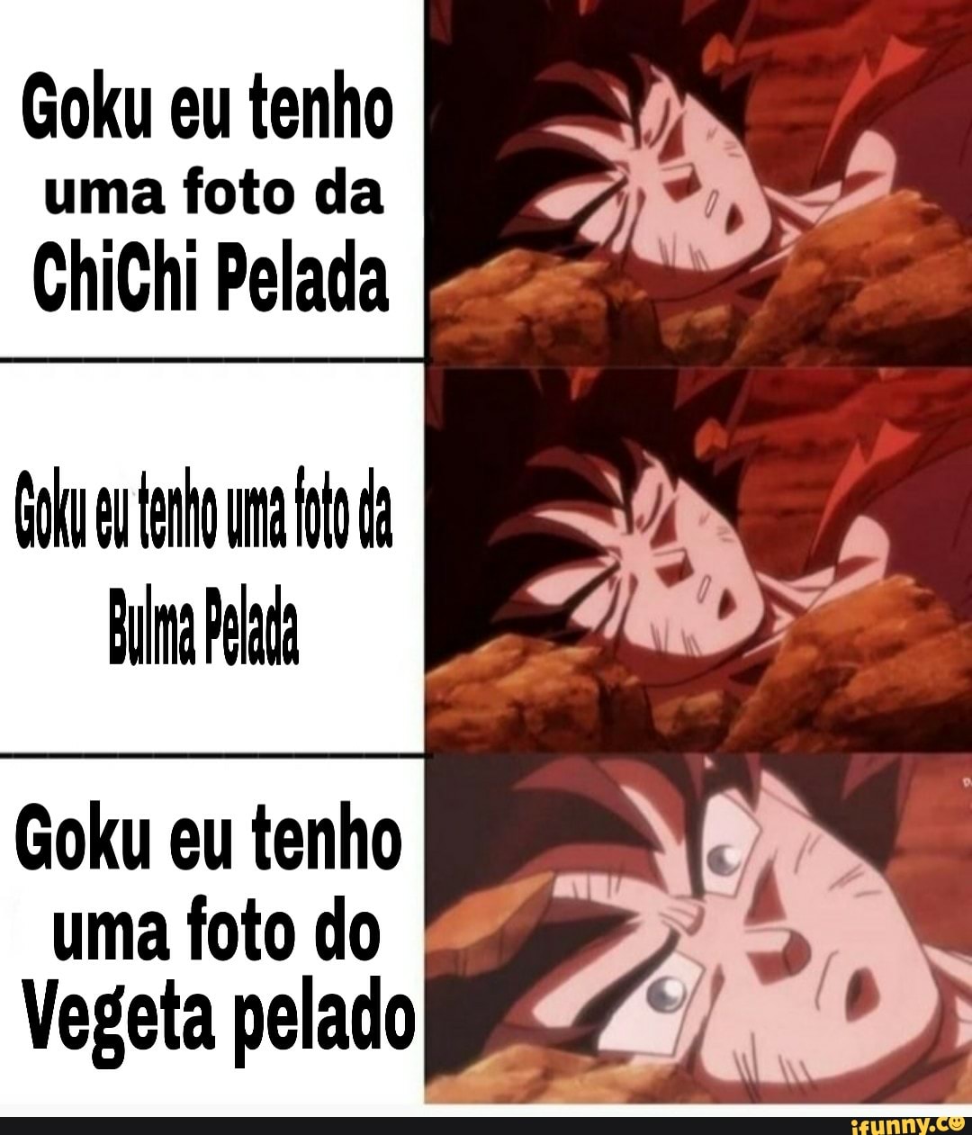 Goku eu tenho uma foto da ChiChi Pelada PS Goku eu tenho SR uma foto do a  Vegeta pelado - iFunny Brazil