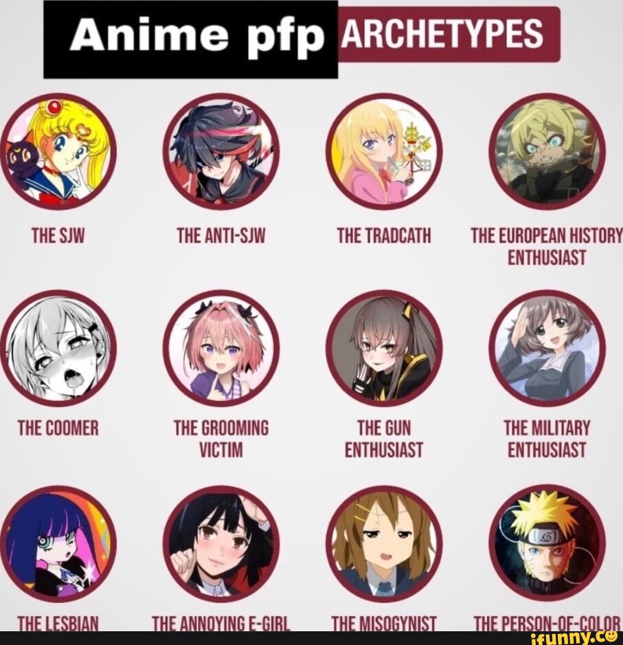 Anime pfp ARCHETYPES THE SJW THE ANTI-SIW THE TRADCATH THE EUROPEAN ...