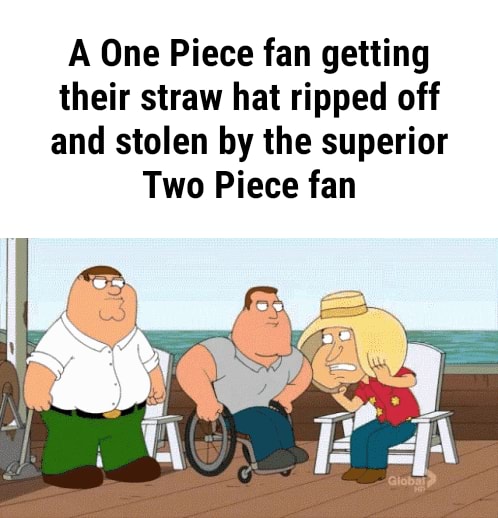A One Piece fan getting their straw hat ripped off and stolen by the  superior Two Piece fan - iFunny Brazil