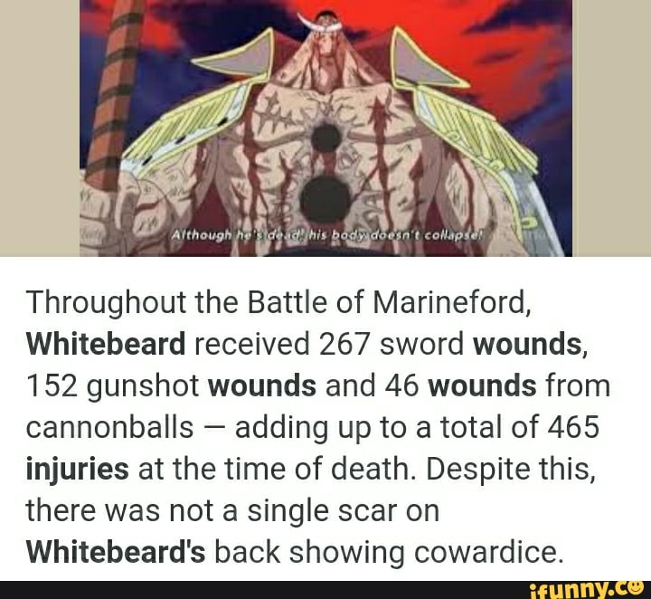 one piece whitebeard dies