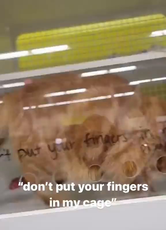 Fingerlickner memes. Best Collection of funny Fingerlickner pictures on  iFunny Brazil