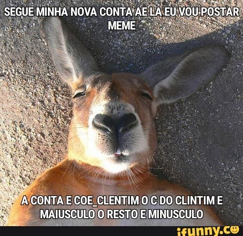 Minúsculo memes. Best Collection of funny Minúsculo pictures on iFunny  Brazil