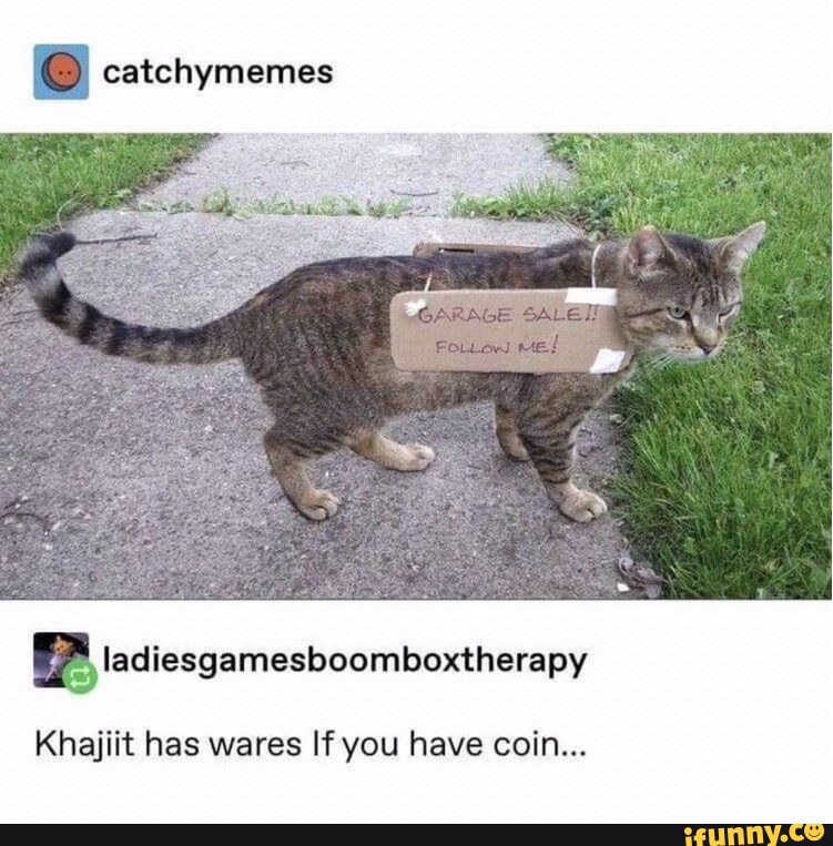 Catchymemes ladiesgamesboomboxtherapy Khajiit has wares If you