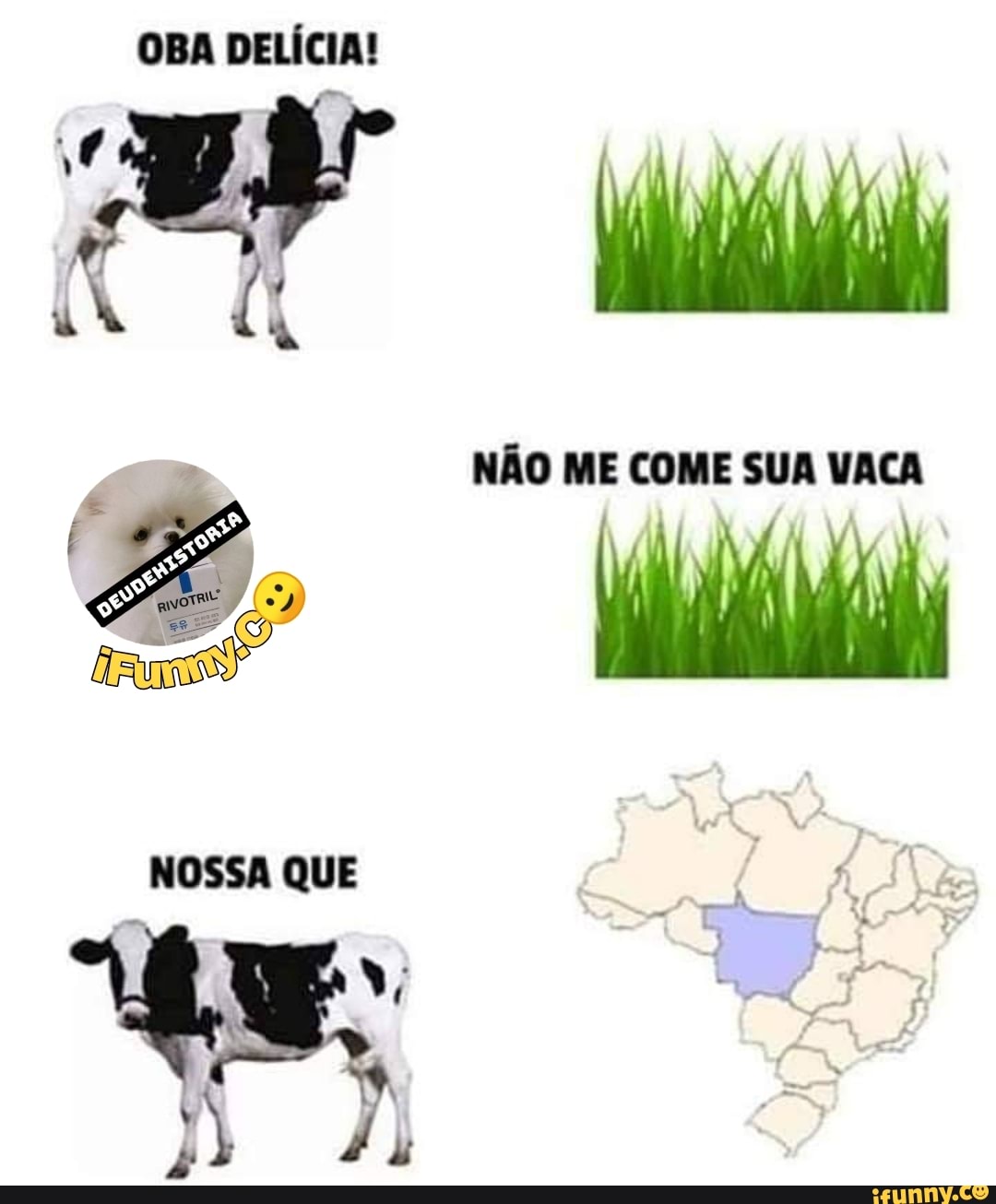 NOSSA QUE DELÍCIA! 