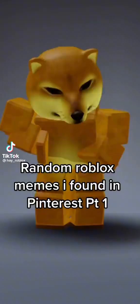 brasileiros roblox memes fotos｜TikTok Search