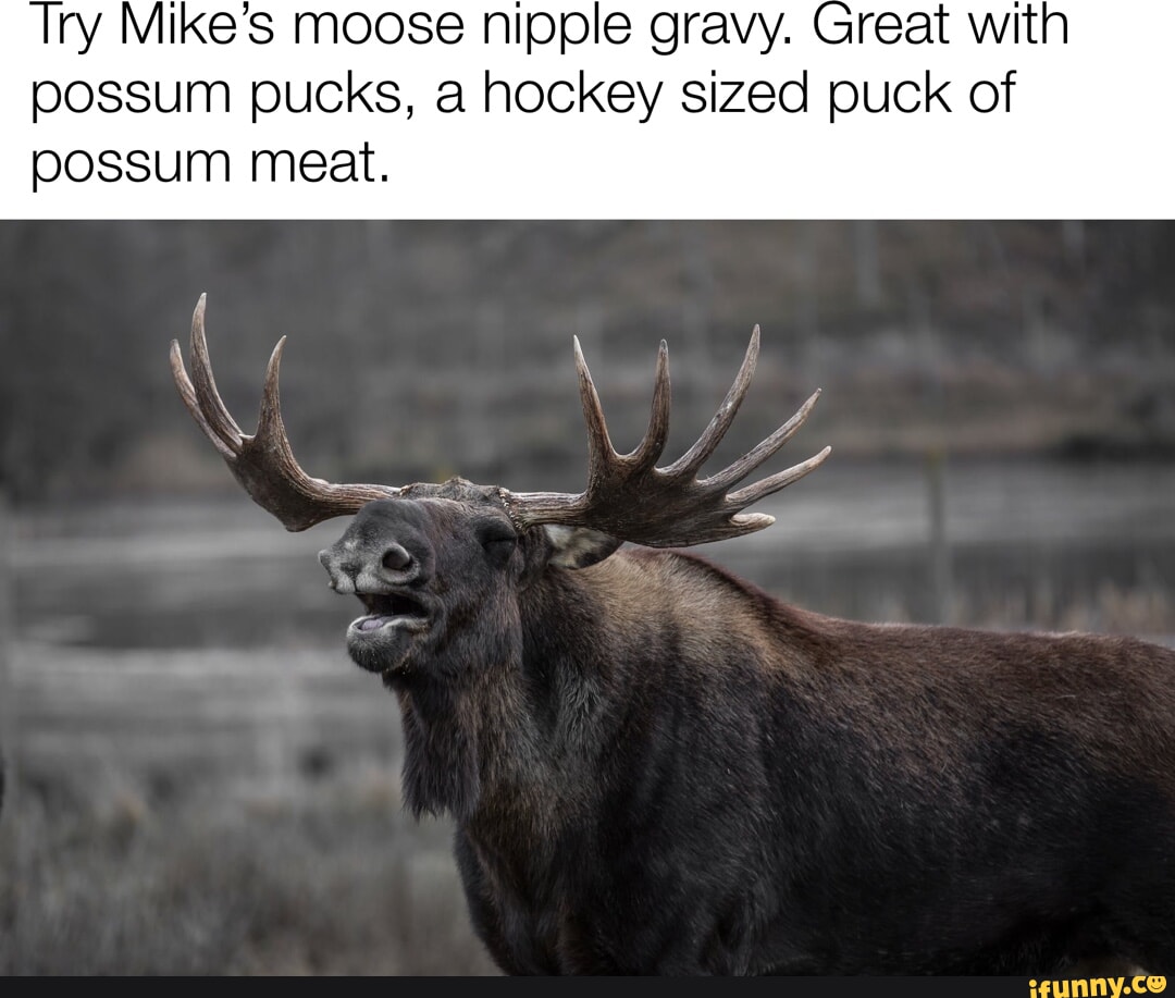 Try Mike's moose nipple gravy. possum pucks, a hockey sized puck of ...