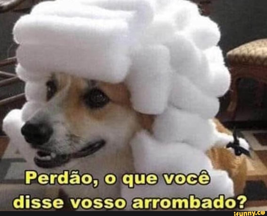 Perdão, o que você disse vosso arrombado? - iFunny Brazil