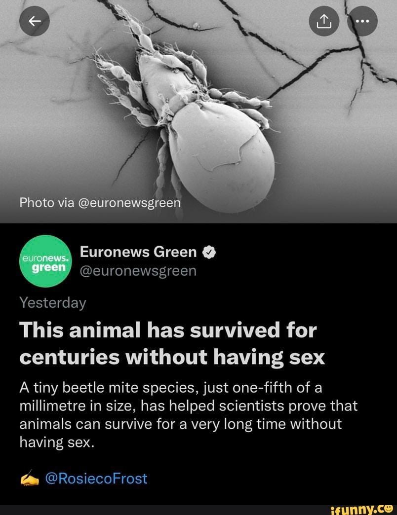 Photo via @euronewsgreen Euronews Green green / @euronewsgreen Yesterday  This animal has survived for centuries without having