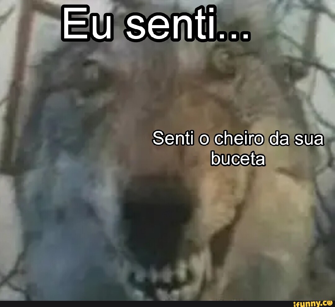 Eu senti... Senti o cheiro da sua buceta - iFunny Brazil