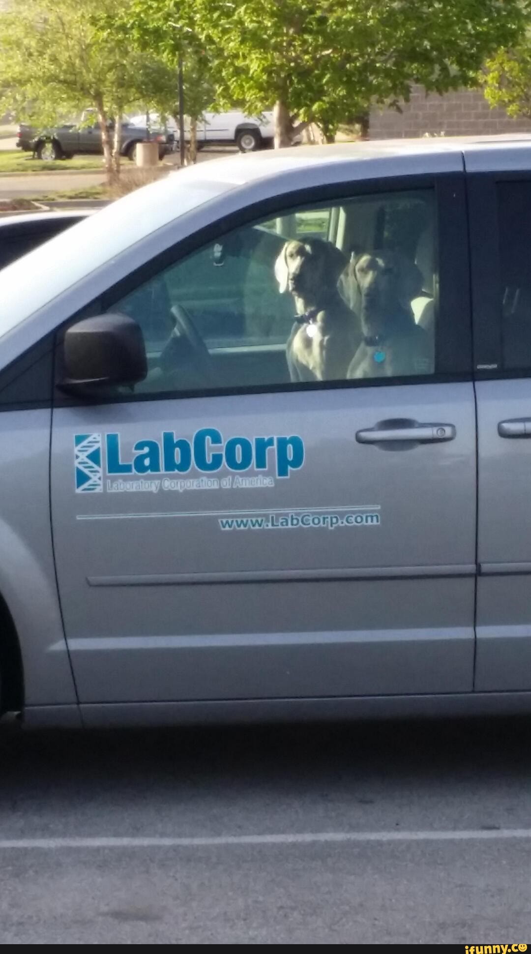 Labcorp memes. Best Collection of funny Labcorp pictures on iFunny Brazil