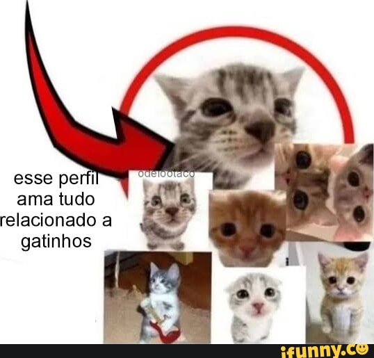 Eu amo ver garotas-gato de animes com suas mãos na frente imitando patas de  gatos. Traduzi WaterBR do po - iFunny Brazil