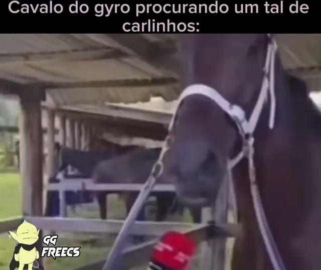 CARA, SE VOCÊ NÃO SE AMANHÃ AQUELE LEVANTAR ATÉ AMANHÃ, CAVALO NÃO FICAR DE  ELES VÃO