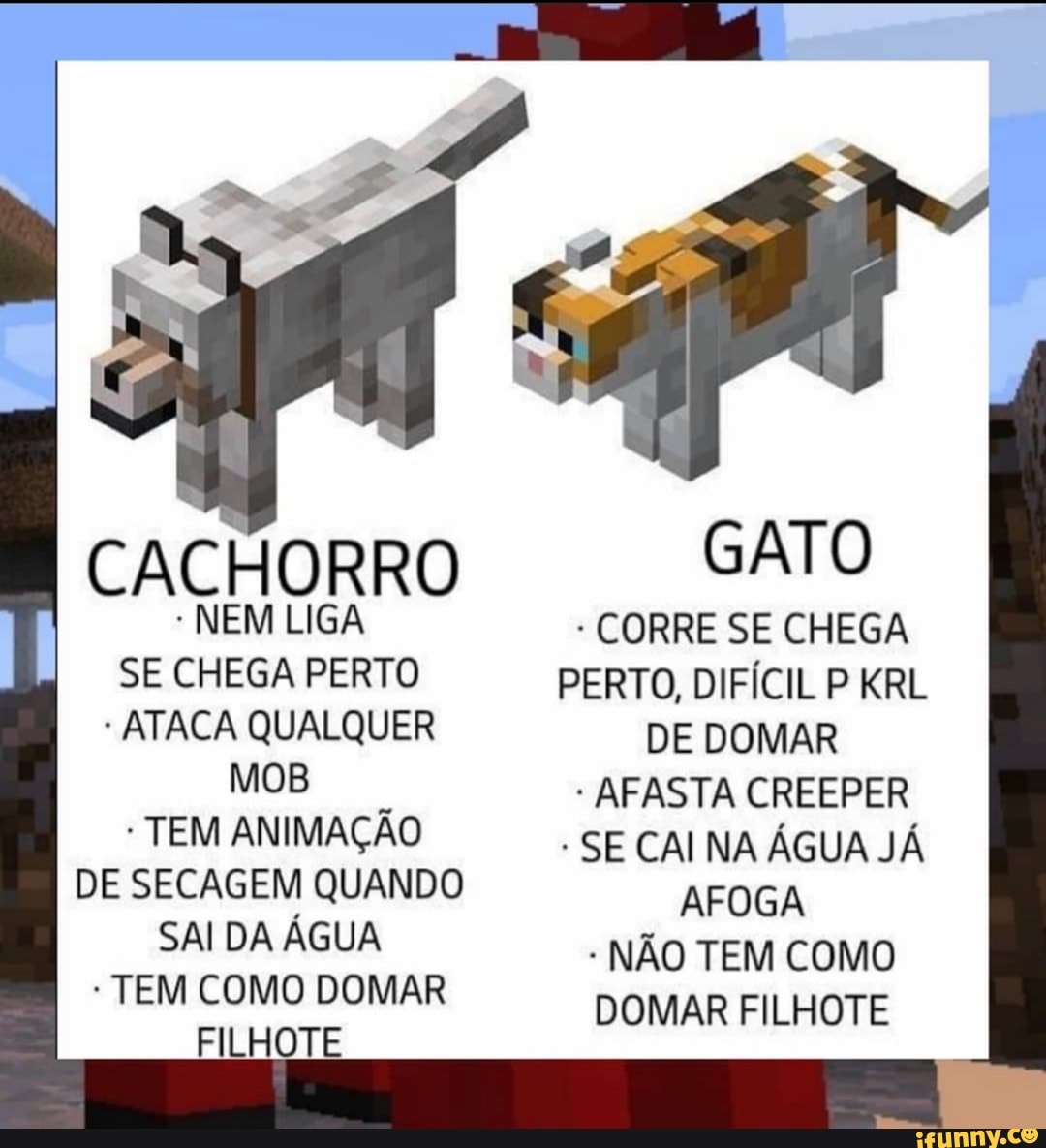 Minecraft - Como domar um gato no jogo